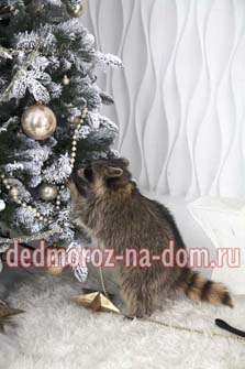 ������� ���� ������ � ���������� -  ����